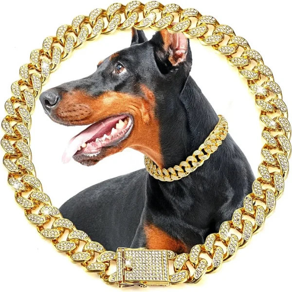 Luxury Gold Pet Metal Chain Collar