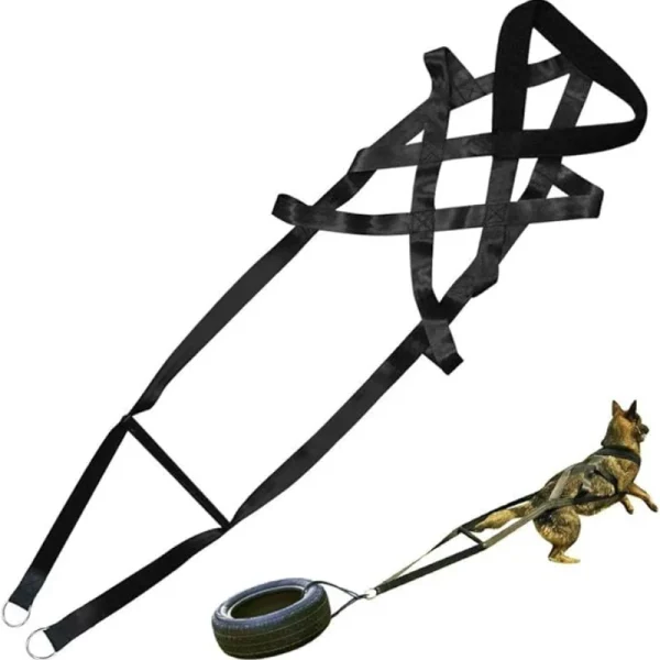 Dog training leash harness for working dogs
